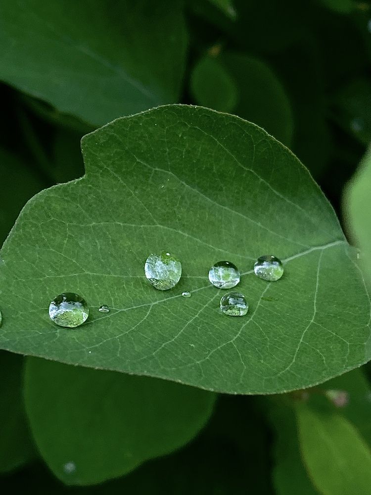 Photograph by Екатерина Балакина