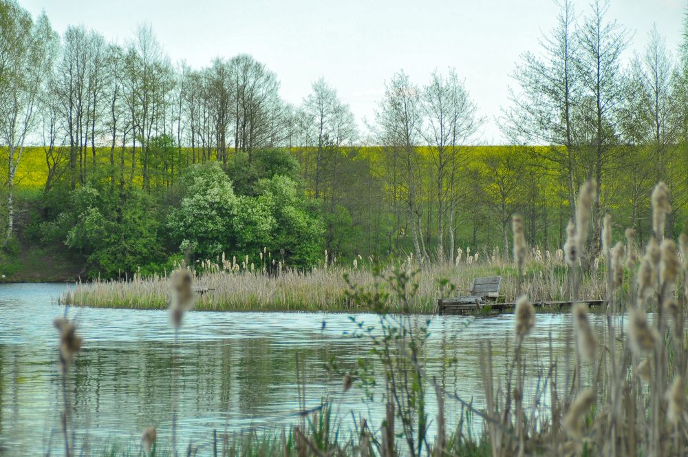 Photograph by Ольга Герасименко