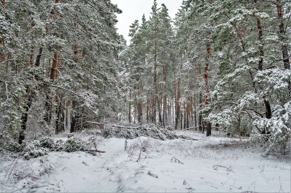 Photograph by Алексей Сиваков