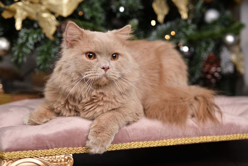 Photograph by Максим Мицун