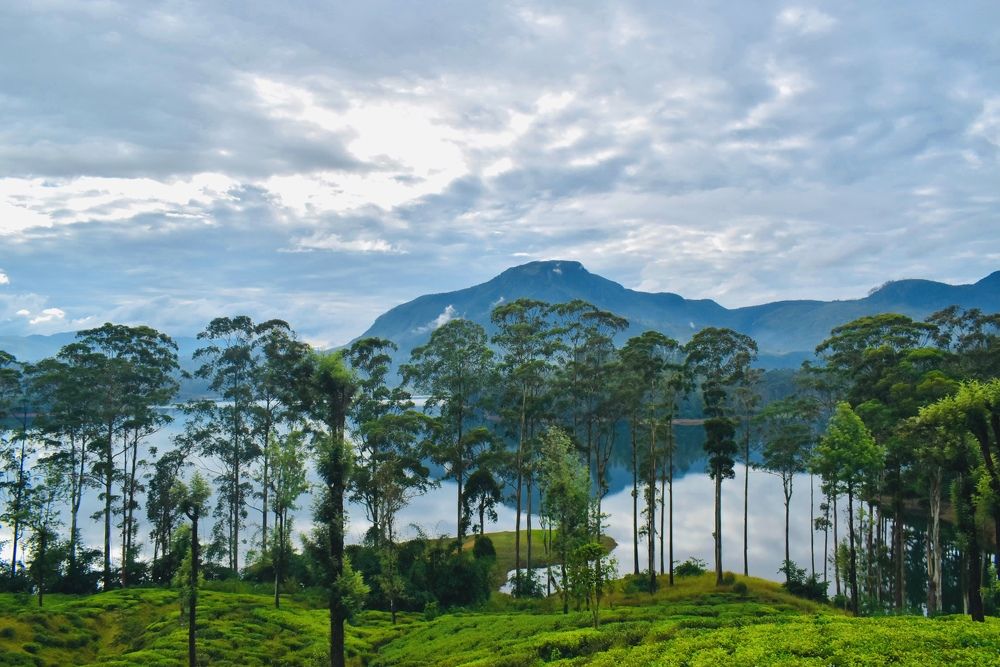 Фотография автора Lakshitha Mahawithana