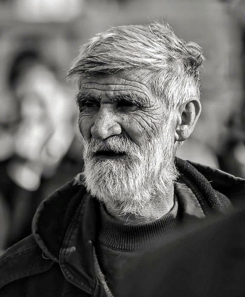 Фотография автора Elahe Fa