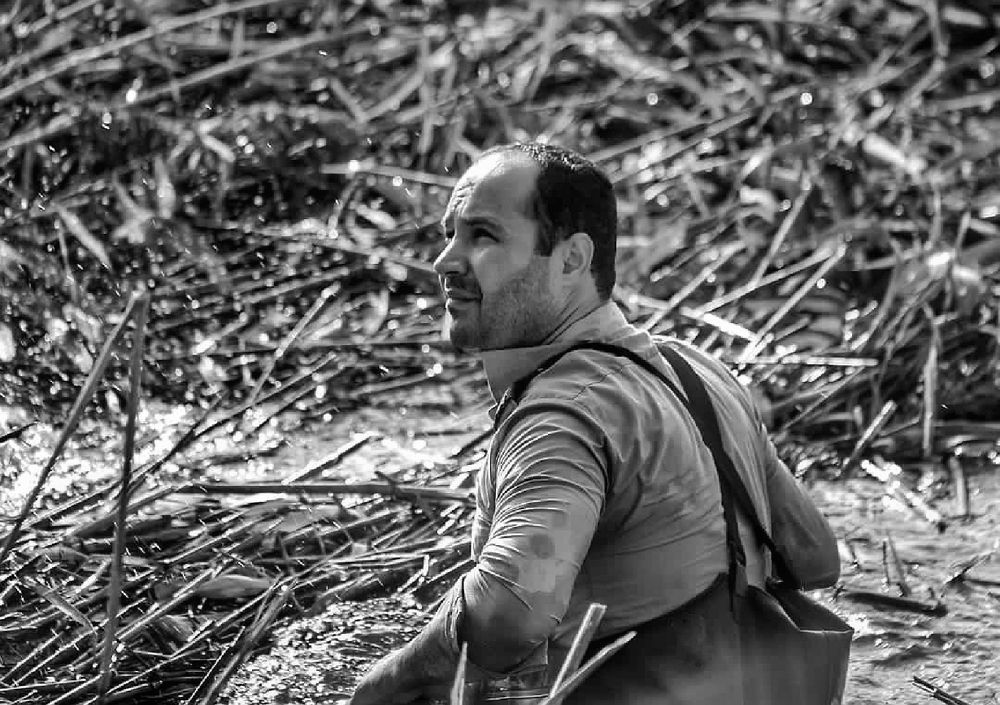 Фотография автора Elahe Fa