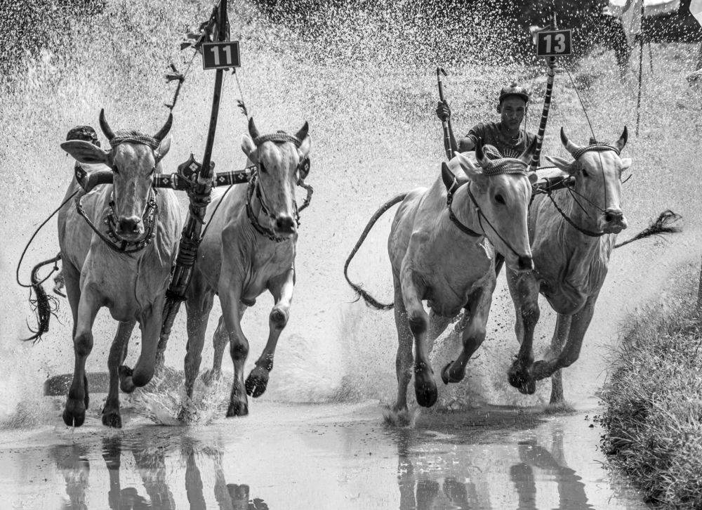 Photograph by nguyễn minh