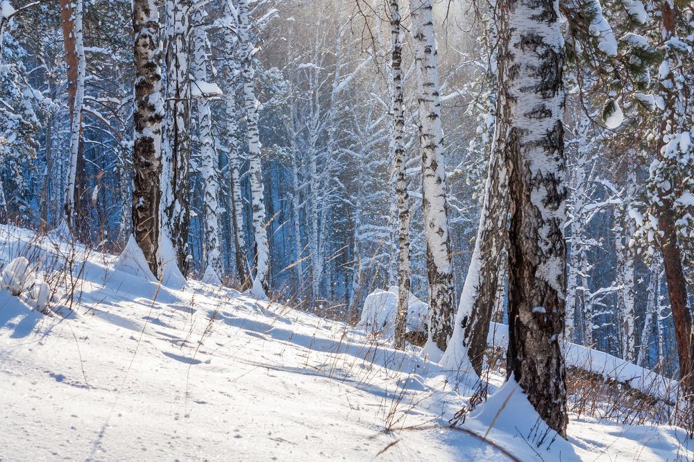 Photograph by Алексей Трухин
