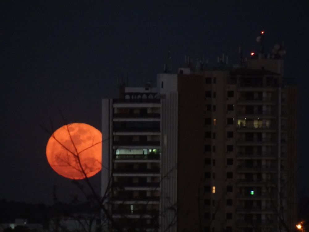 Lua cheia atrás do prédio