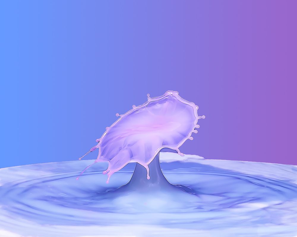 Photograph by Silvia Marcos