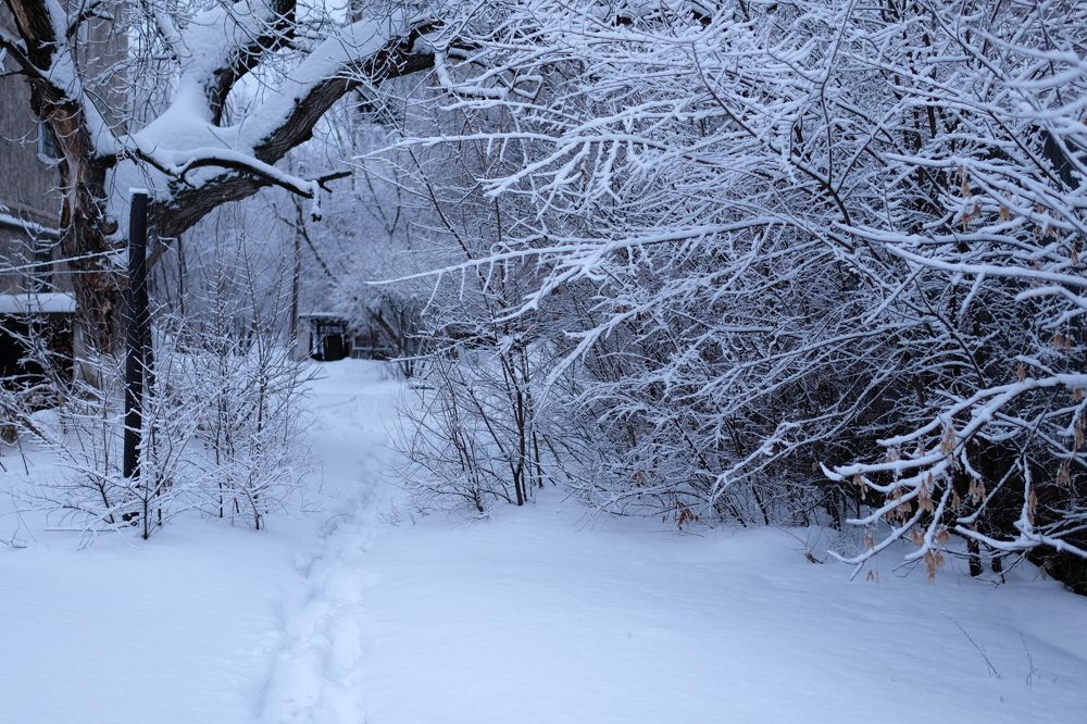 Фотография автора Alexey Morozov