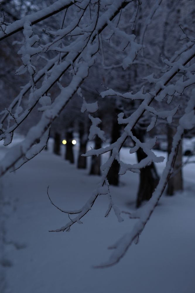 Фотография автора Alexey Morozov