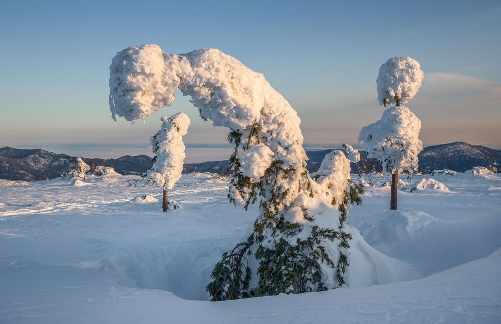 Photograph by Артем Удодов