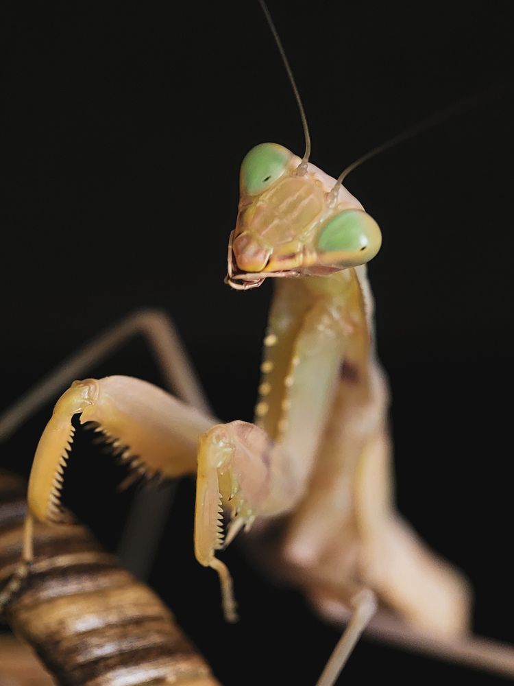 Photograph by Анна Чичилова