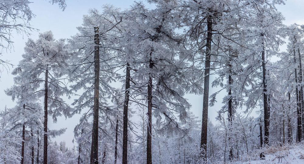 Photograph by Алексей Трухин