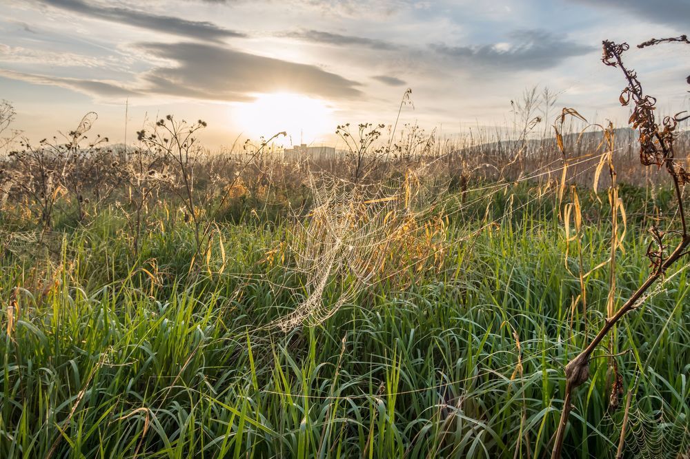 Photograph by Алексей Трухин