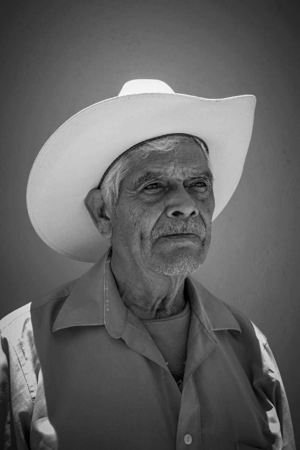 Photo #8612530