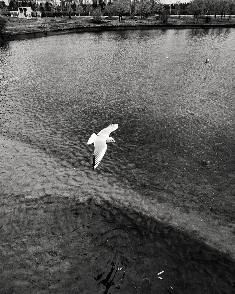 Photograph by Kanat Amre