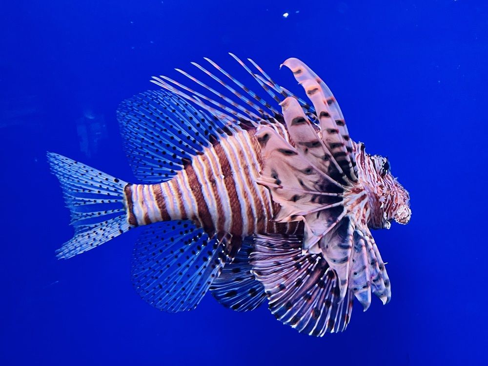 Photograph by Константин Д