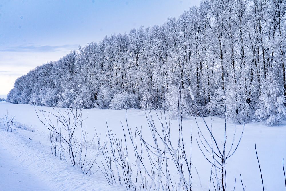 Фотография автора Виталий Гавронский