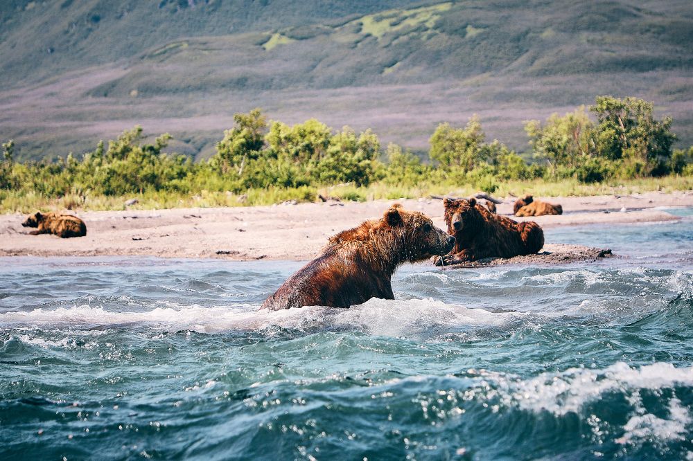 Фотография автора Evgeny Gorbunov
