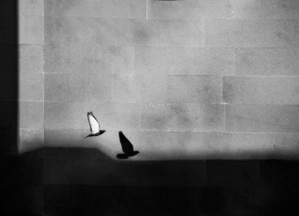 Фотография автора Mohammad Mohseni