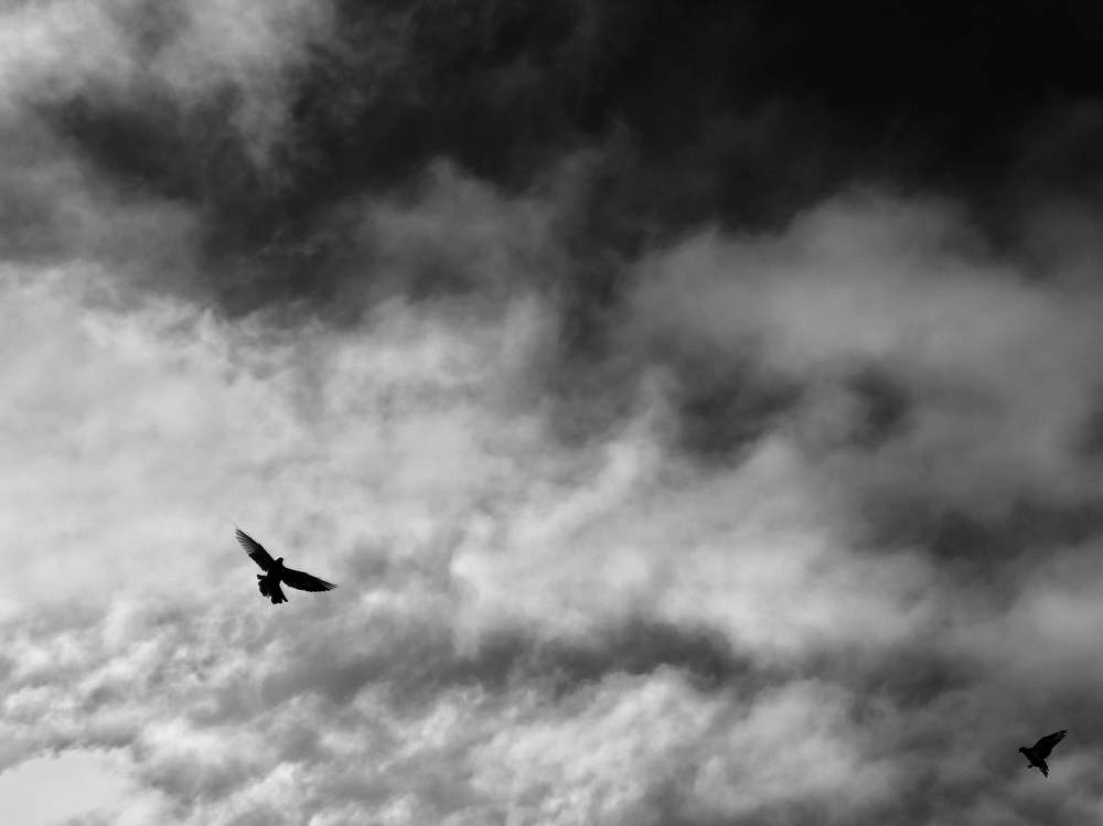 Photograph by Карина Правосуд