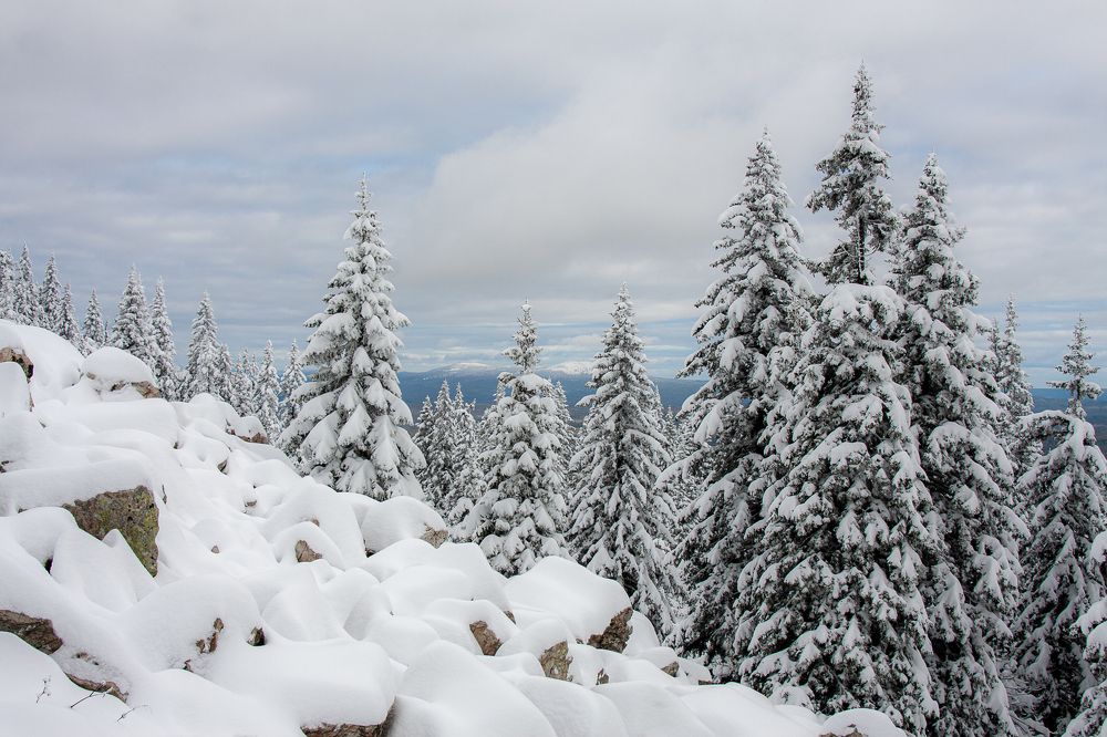 Photograph by Евгений Москвин