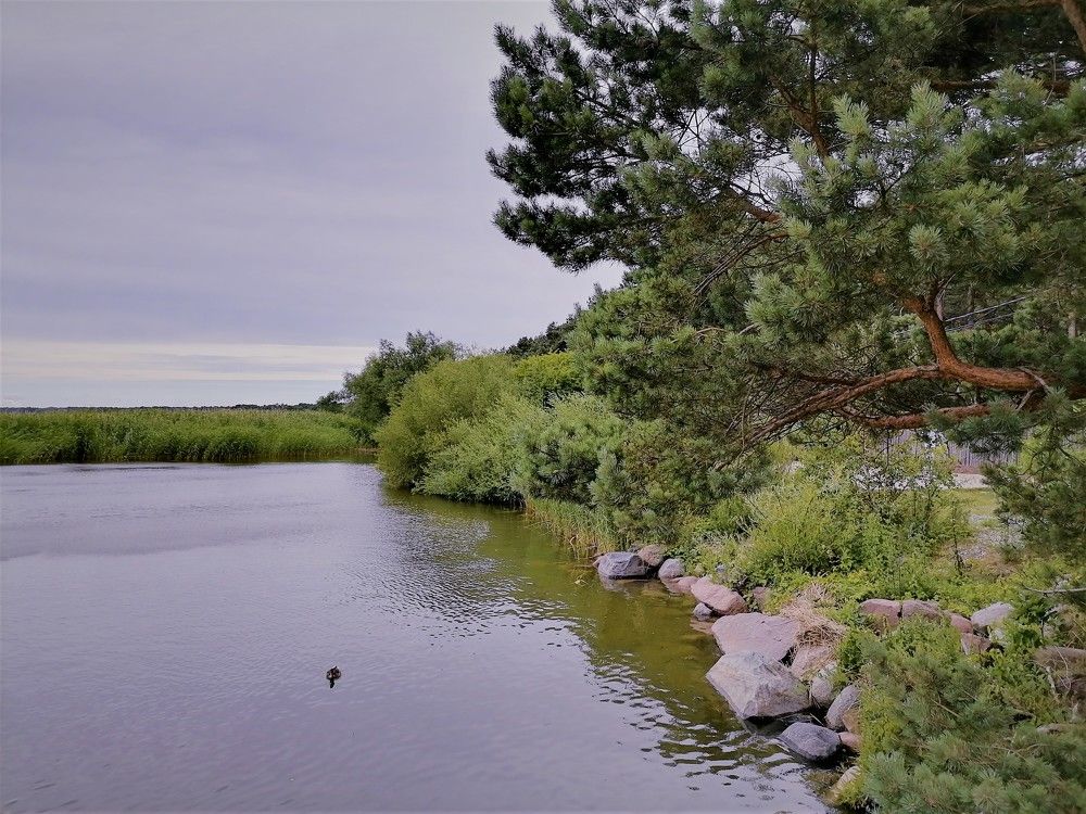 Photograph by Наталья Веряскина