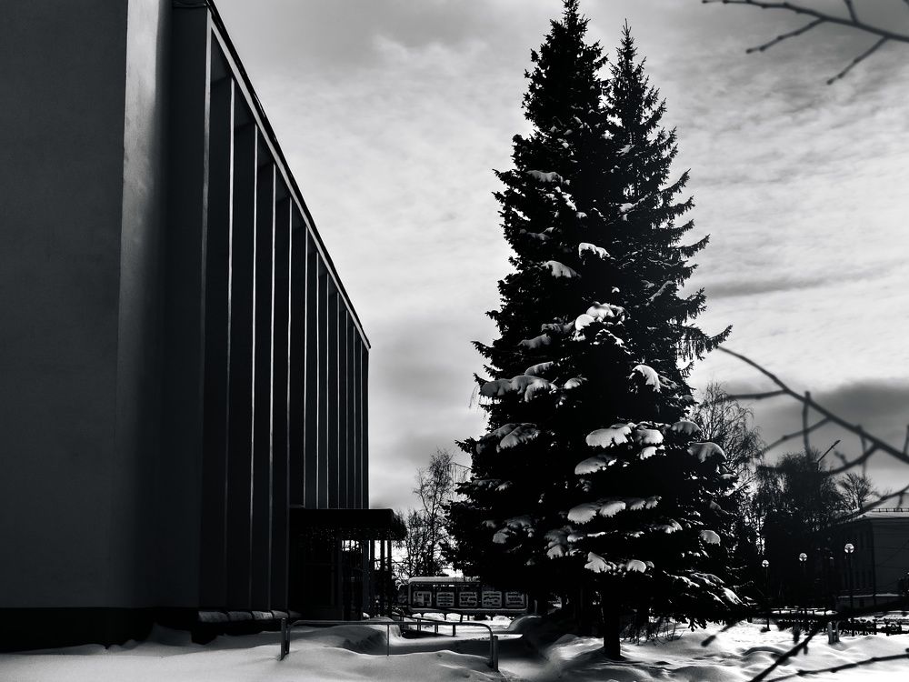 Фотография автора Алексей Крючков