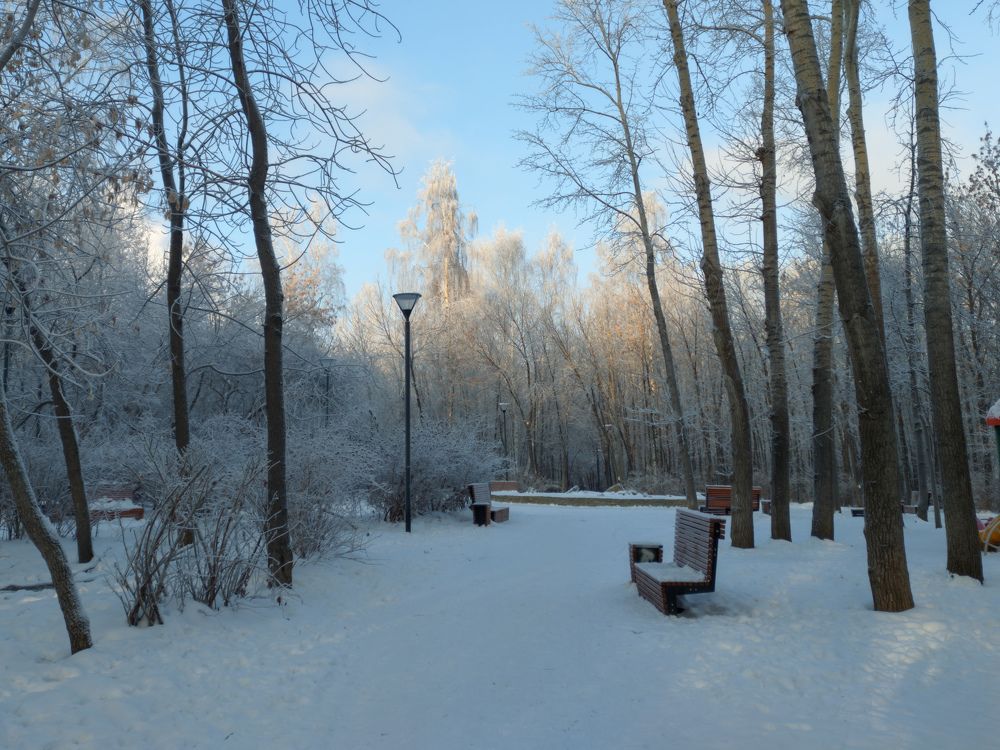 Photo #8612906