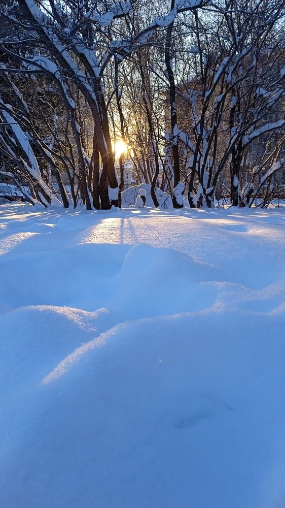 Photograph by Жанна Цветкова