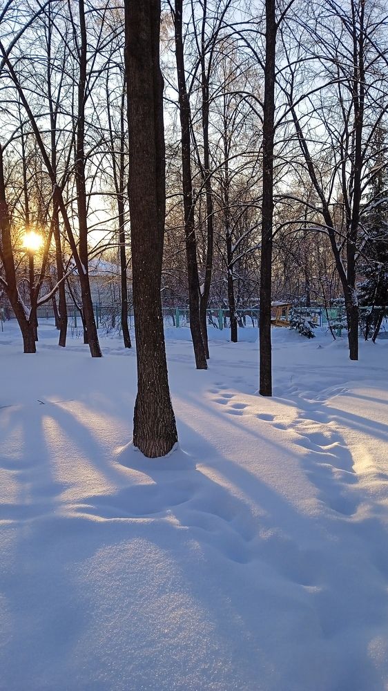 Photograph by Жанна Цветкова