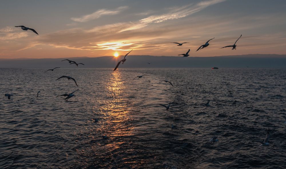 Photograph by Григорий Армашов-Тельник