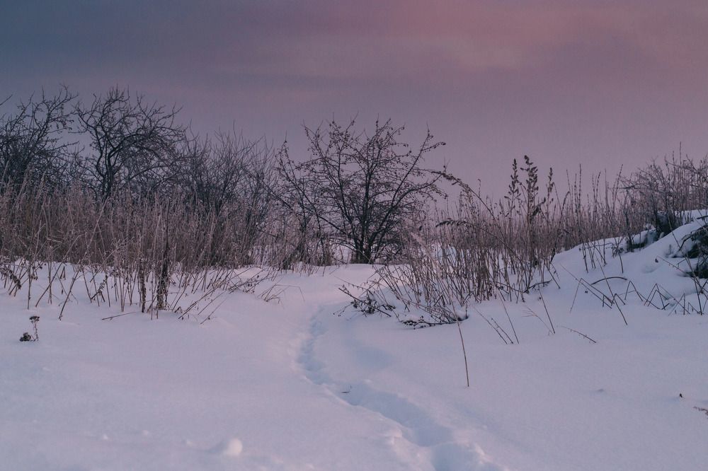 Фотография автора Елена Иванова