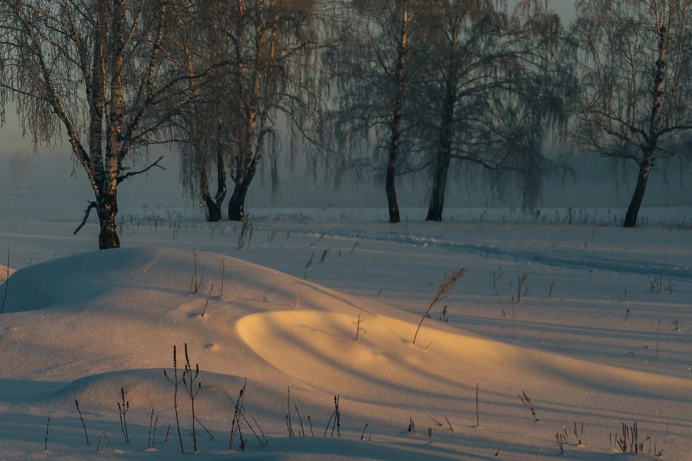 Фотография автора Елена Иванова
