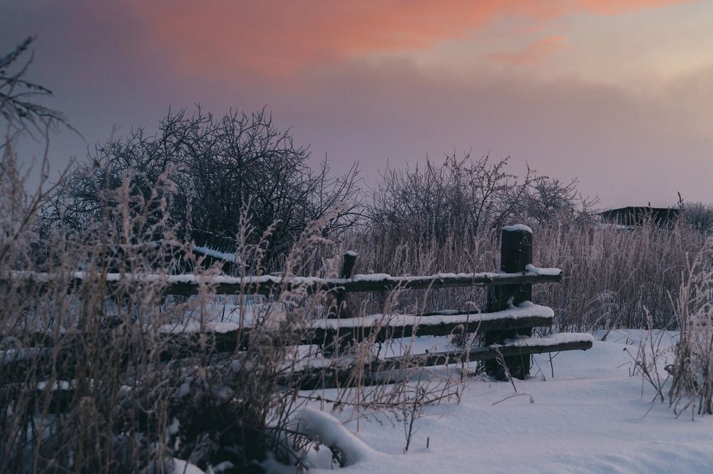 Фотография автора Елена Иванова