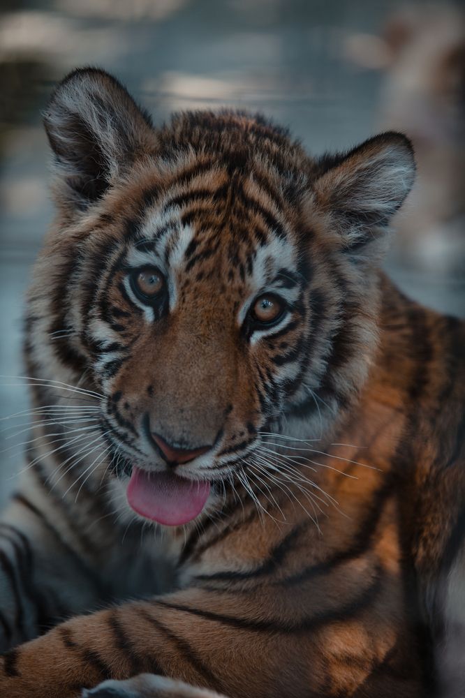 Photograph by Потёмкин Денис