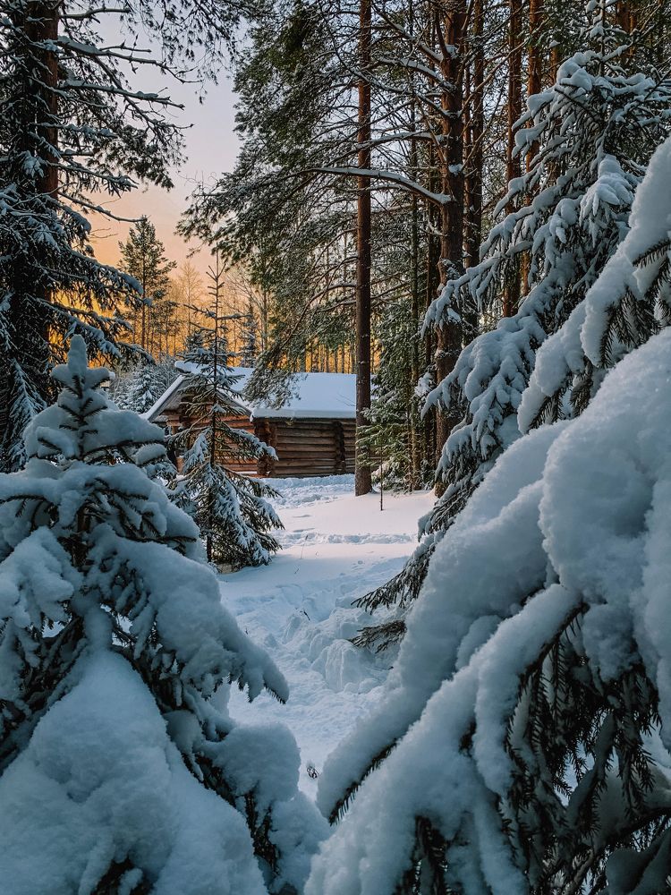 Photograph by Мария Василенко