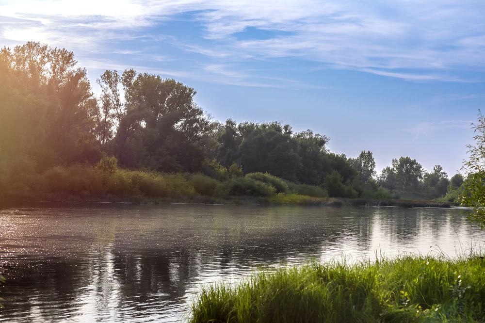 Photograph by Инесса Никитина