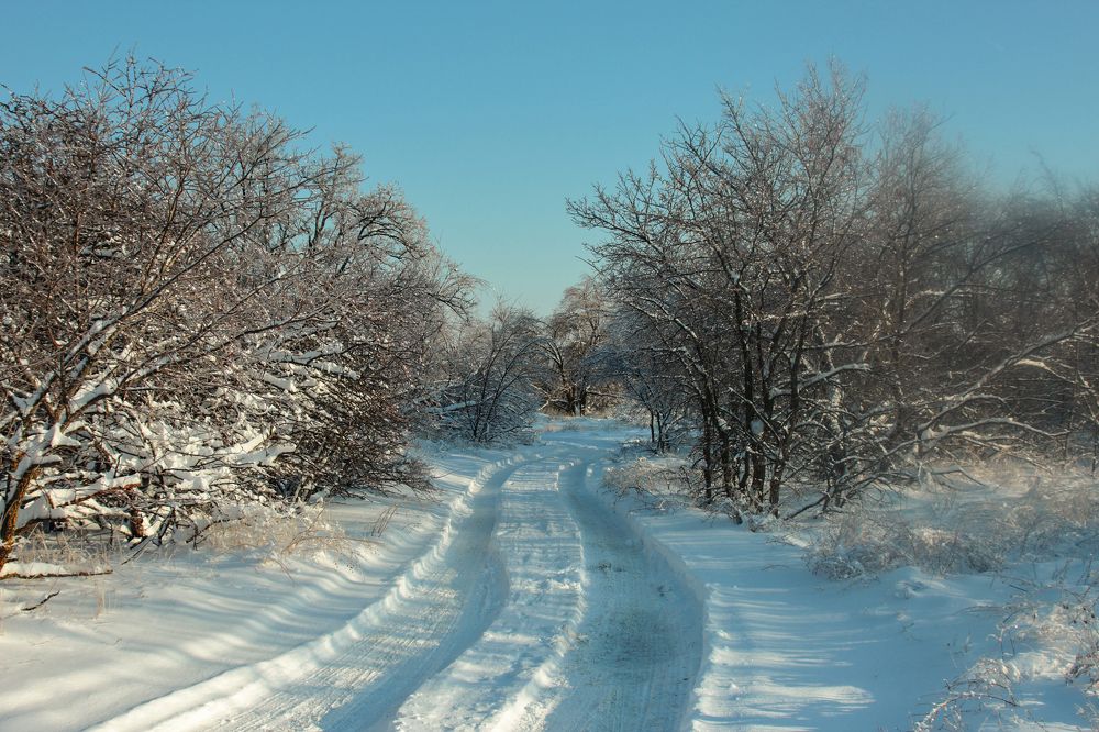 Photograph by Ирина Шибитова