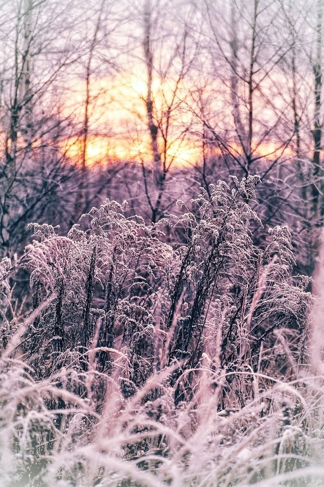 Photograph by Шафиева Ирина