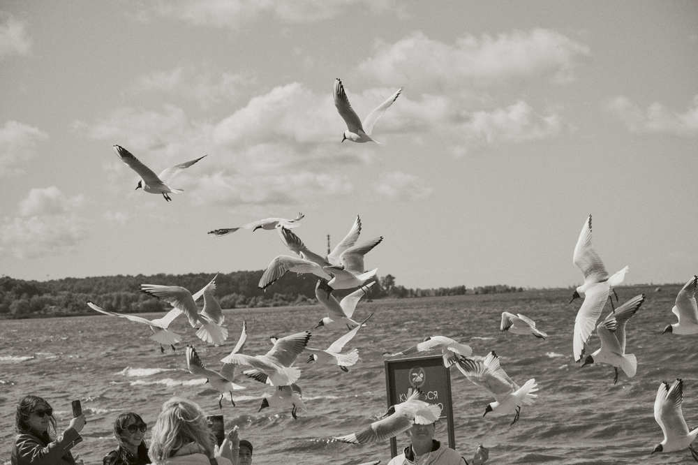 Photograph by Иван Державин