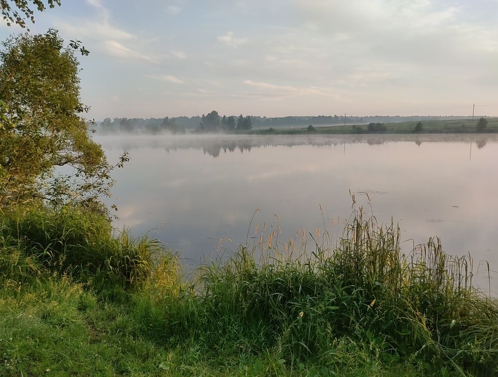 Photograph by Елена Колесникова