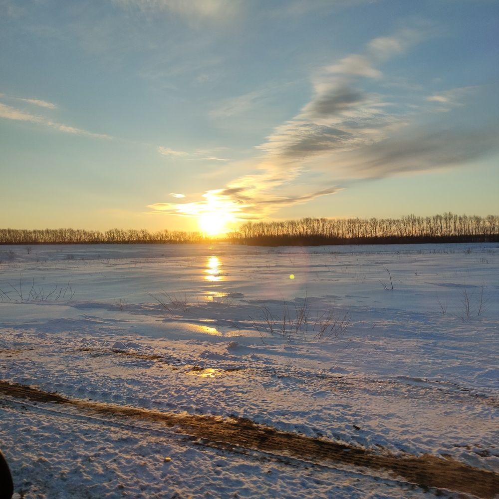 Photograph by Елена Колесникова