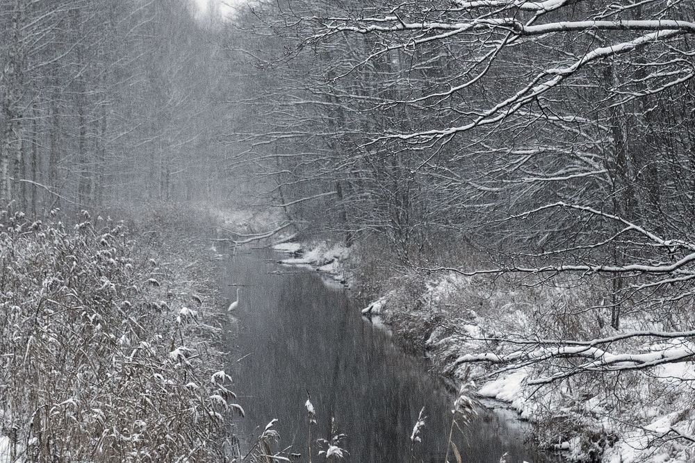 Photograph by Александр Клиновский