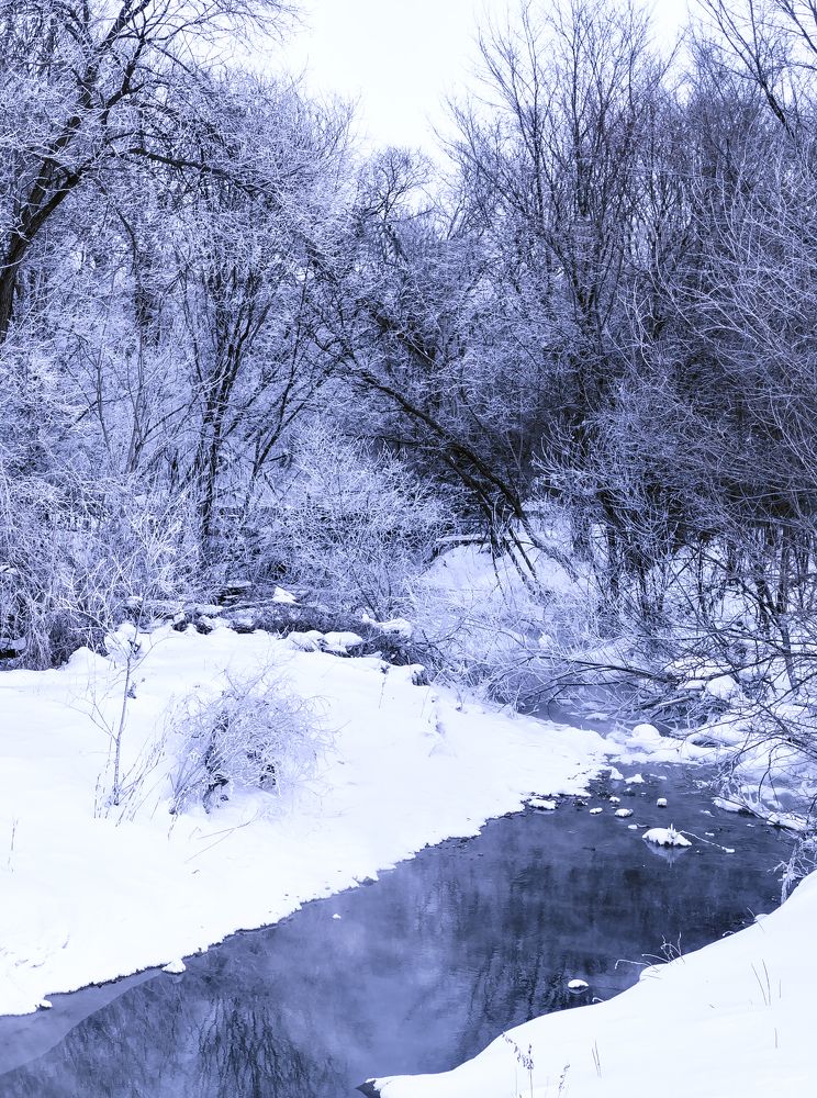 Photograph by Анна Колесниченко