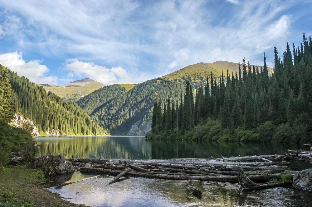 Фотография автора Владимир Пронин