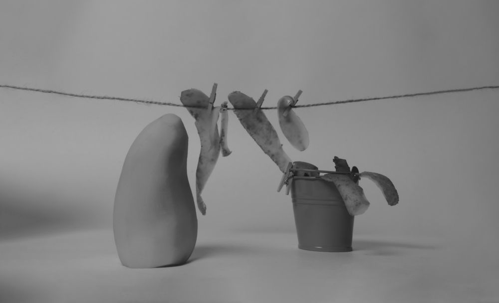 Photograph by Евгений Андреев