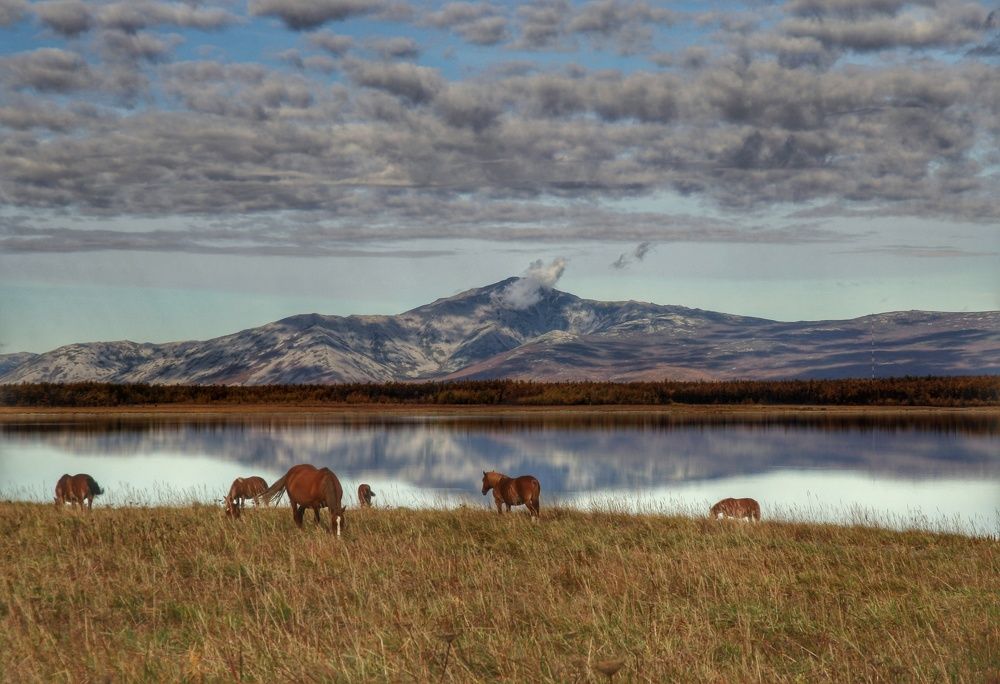 На берегу Солёного озера .