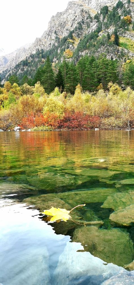 Фотография автора Rafa