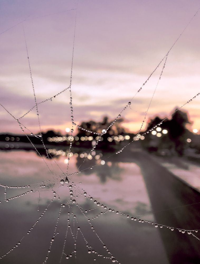 Photograph by Анна Усачева