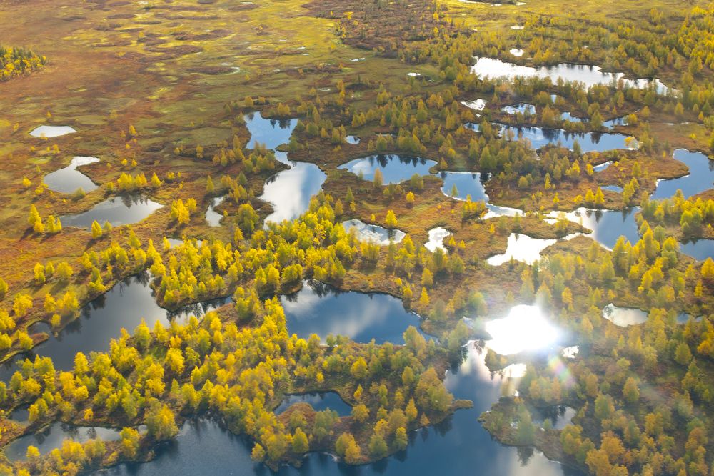 Photograph by Александр